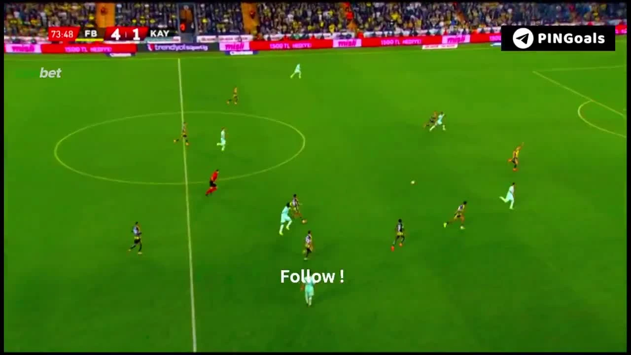 zaslepka skrotu video