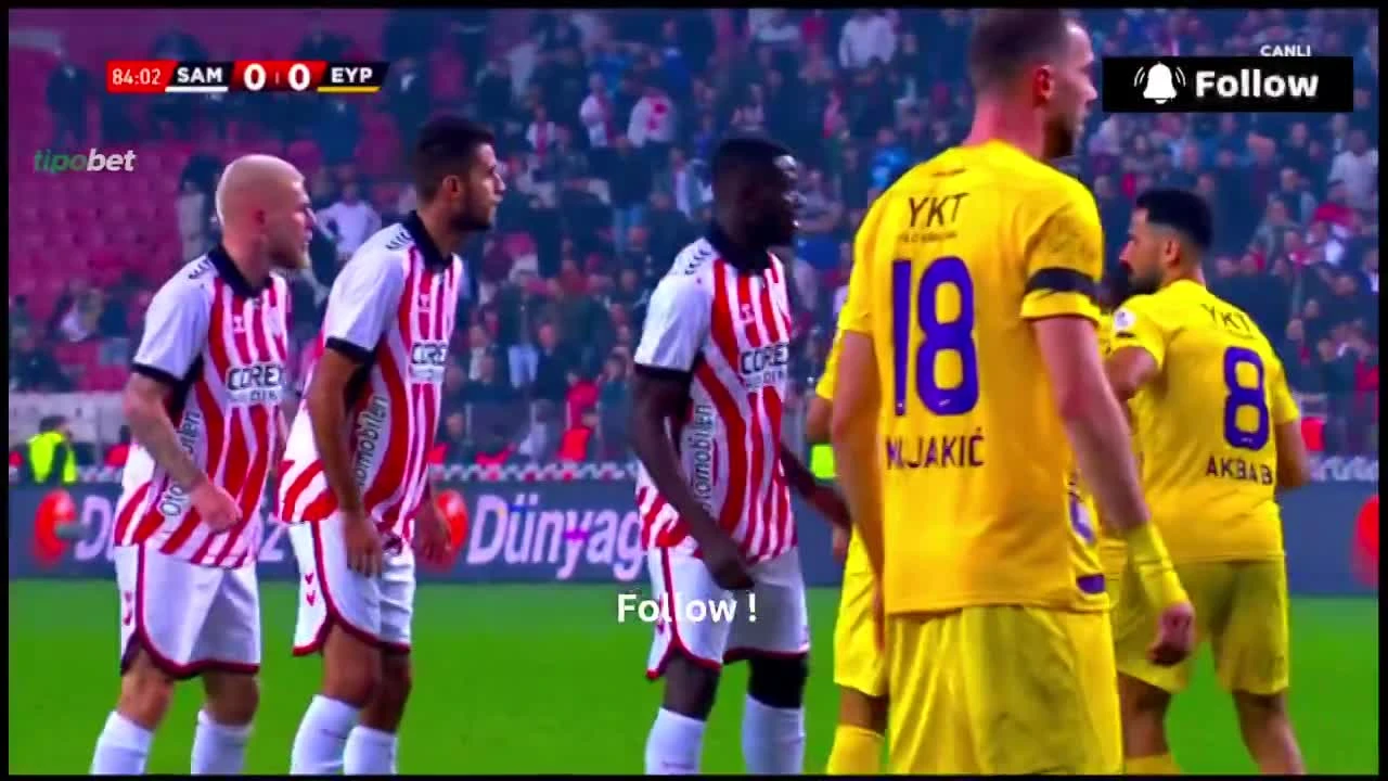 zaslepka skrotu video