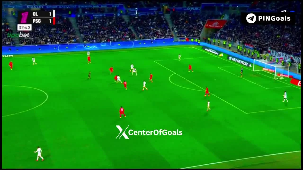 zaslepka skrotu video