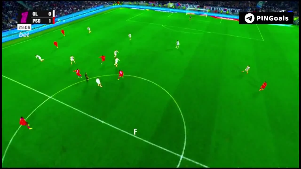 zaslepka skrotu video