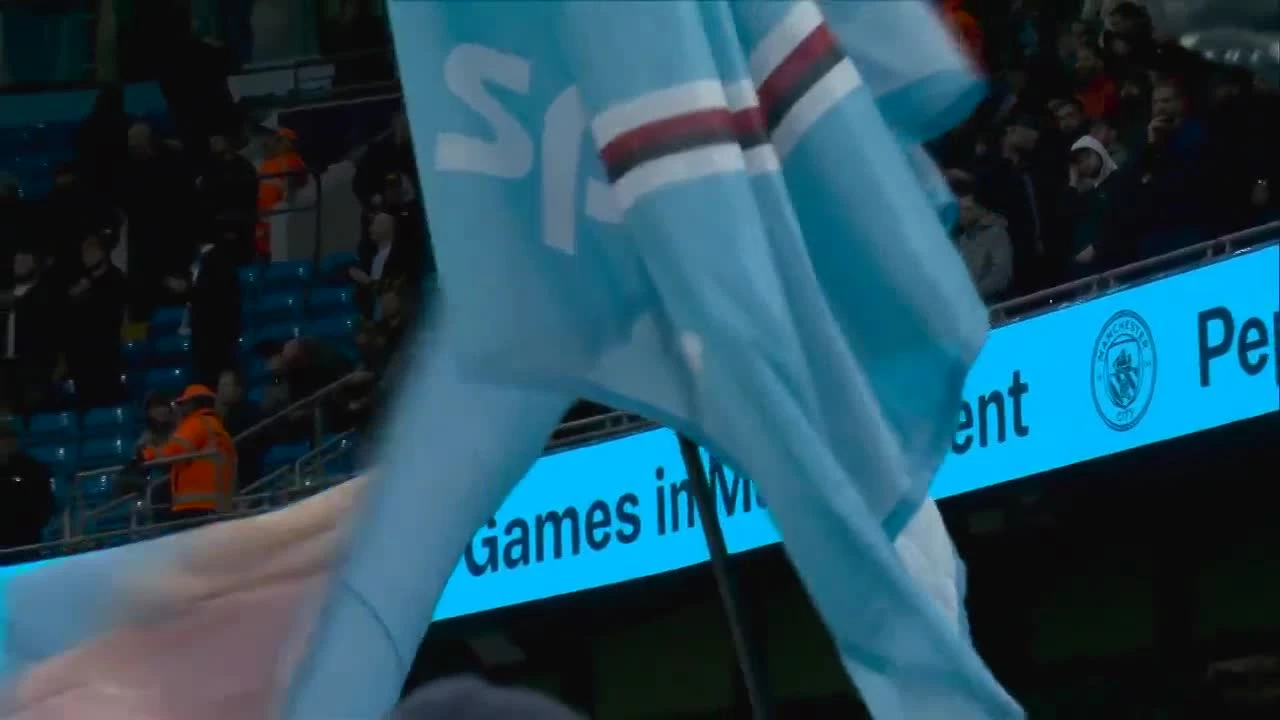 zaslepka skrotu video