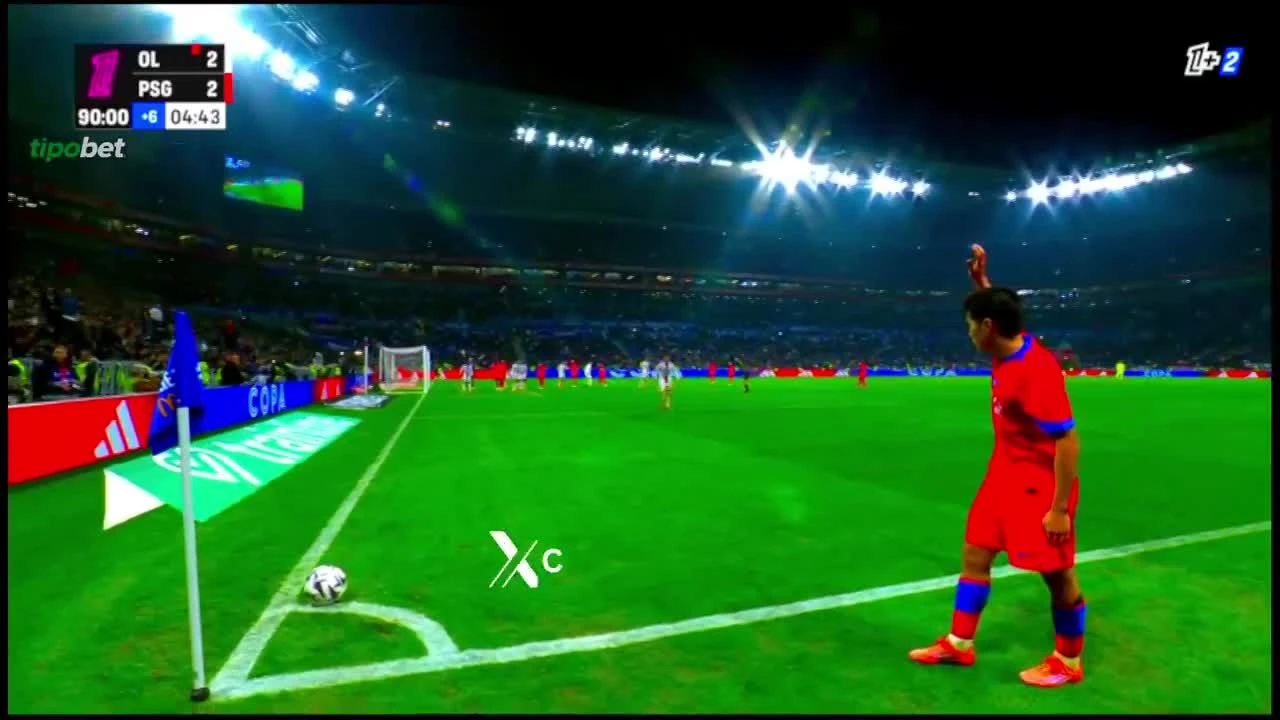 zaslepka skrotu video