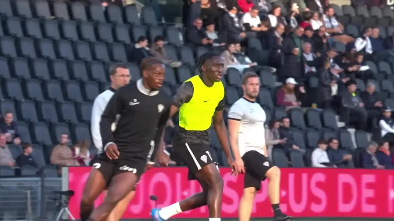 zaslepka skrotu video