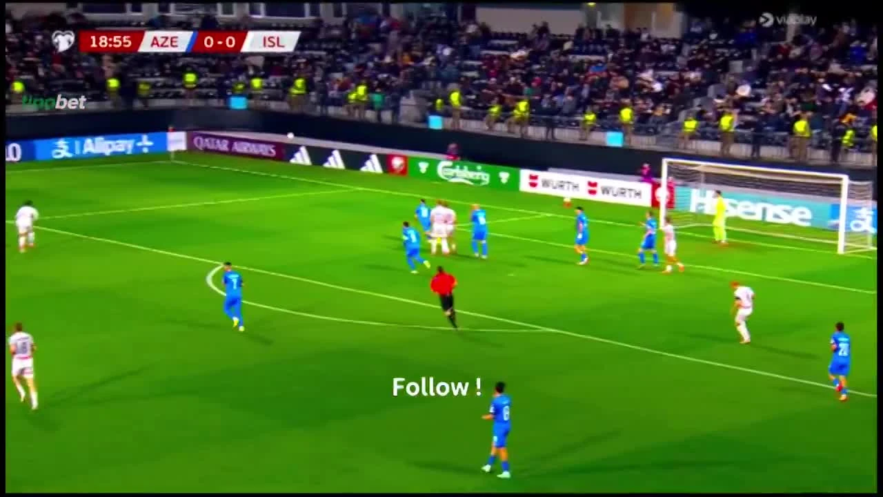 zaslepka skrotu video