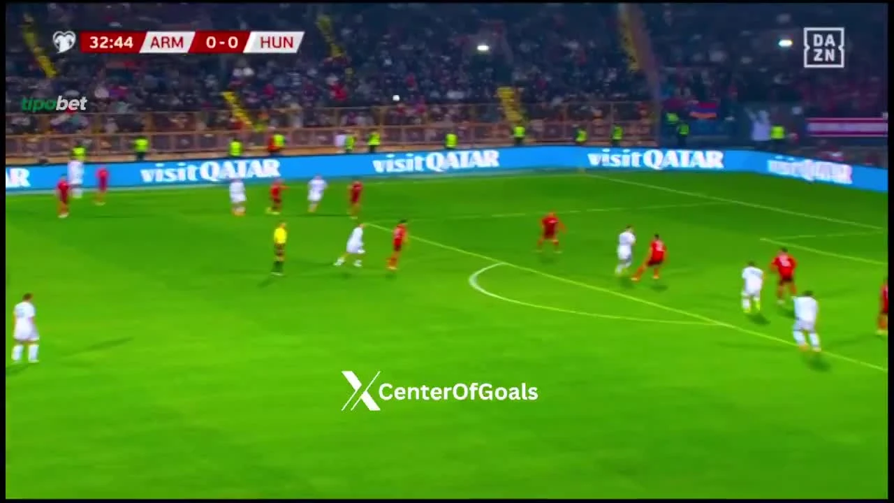 zaslepka skrotu video