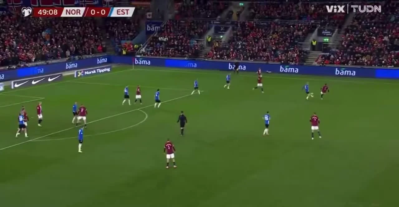 zaslepka skrotu video