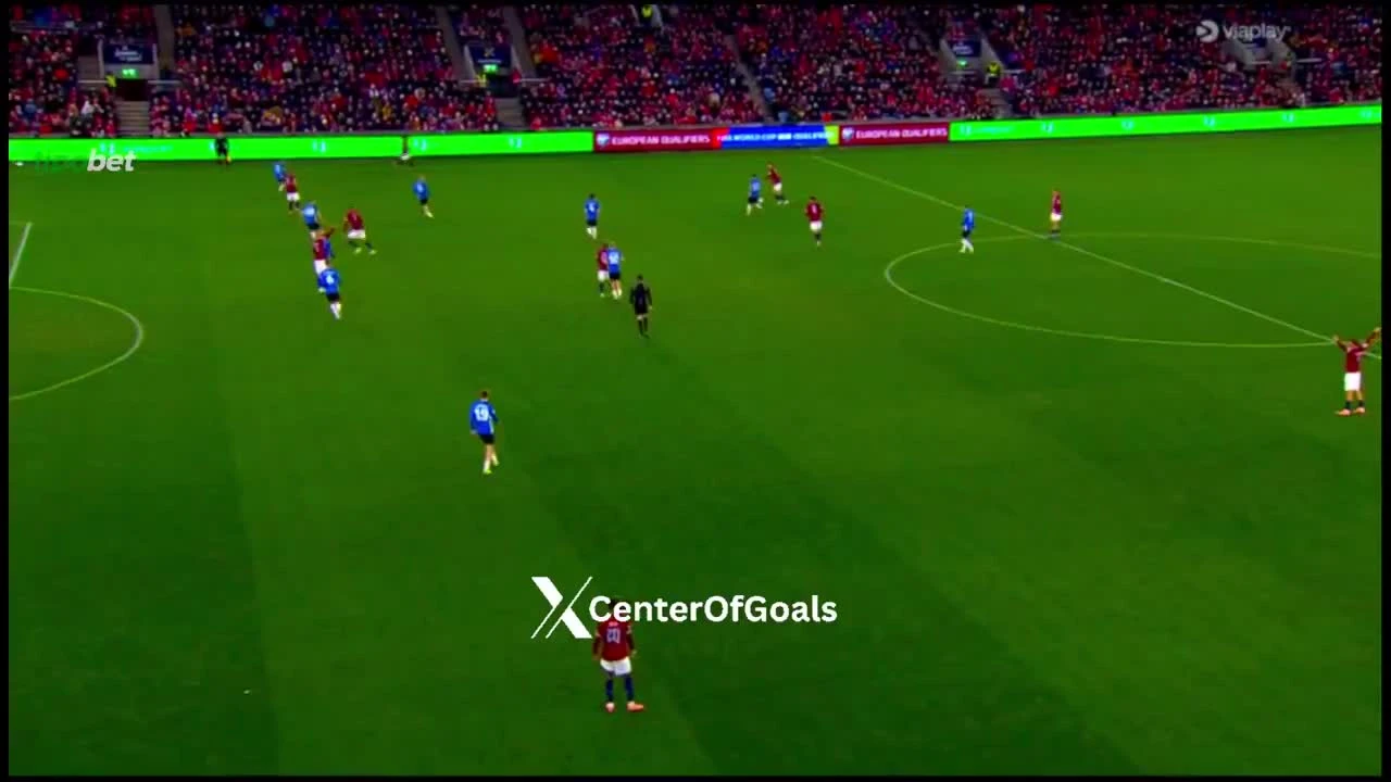 zaslepka skrotu video