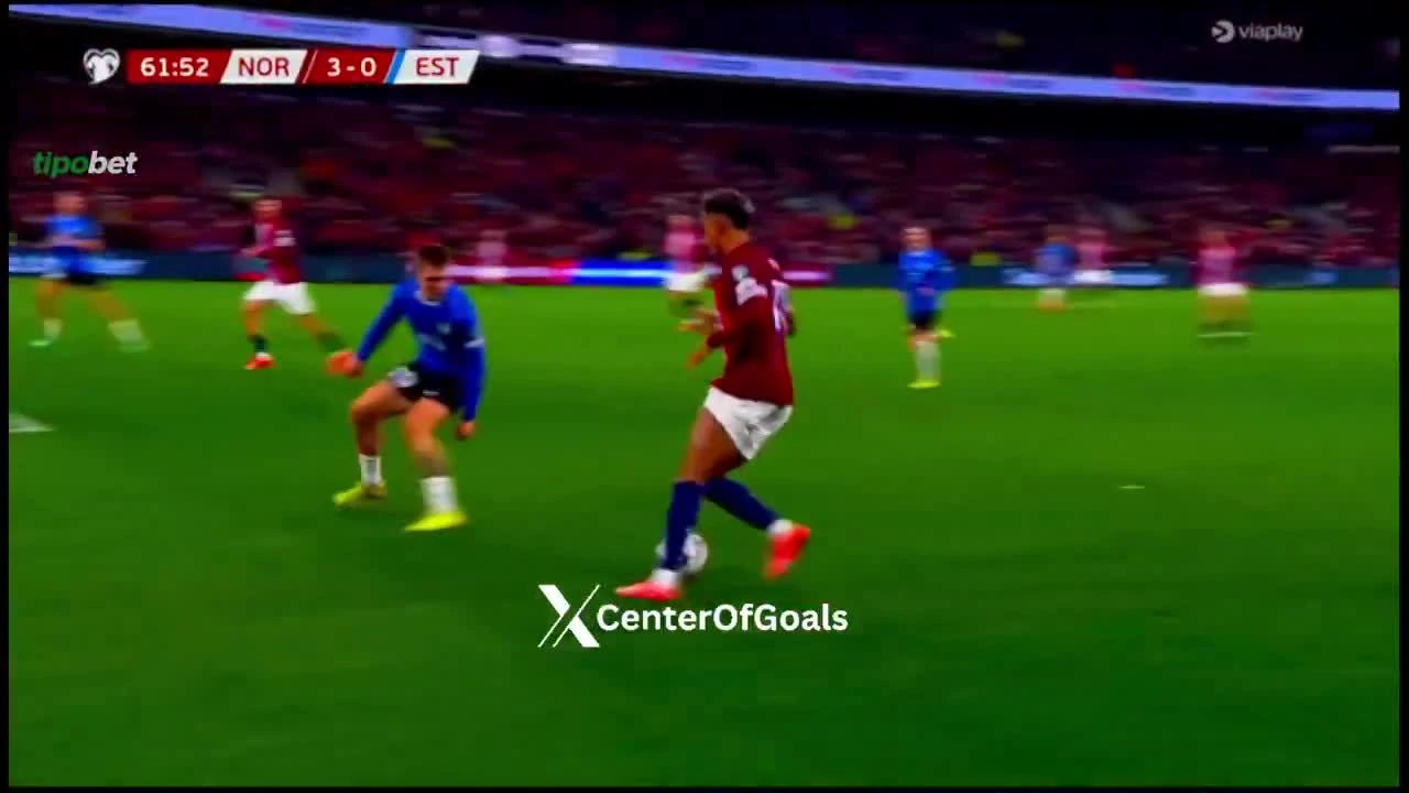 zaslepka skrotu video