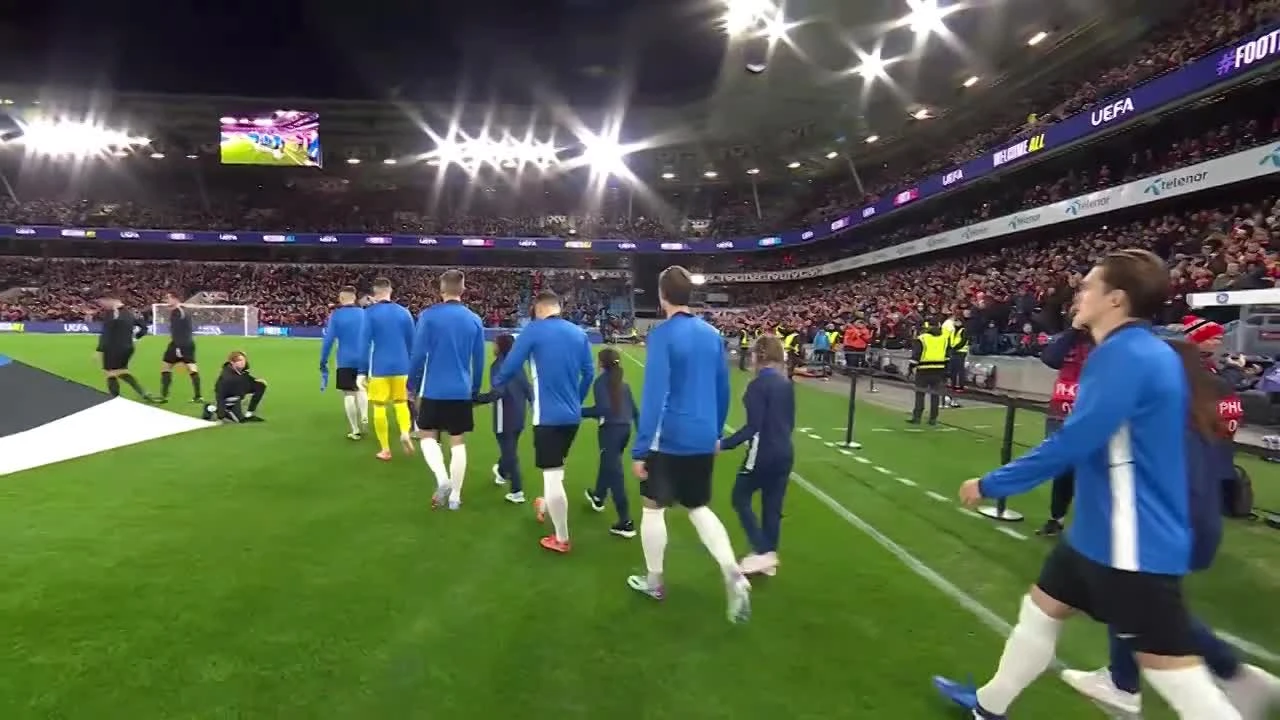 zaslepka skrotu video