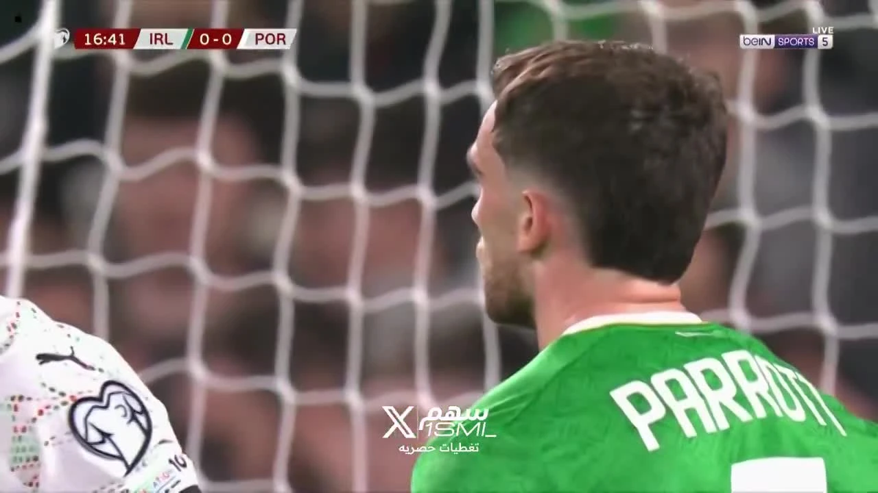 zaslepka skrotu video