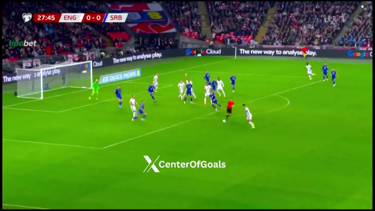 zaslepka skrotu video