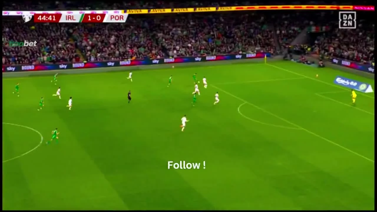 zaslepka skrotu video