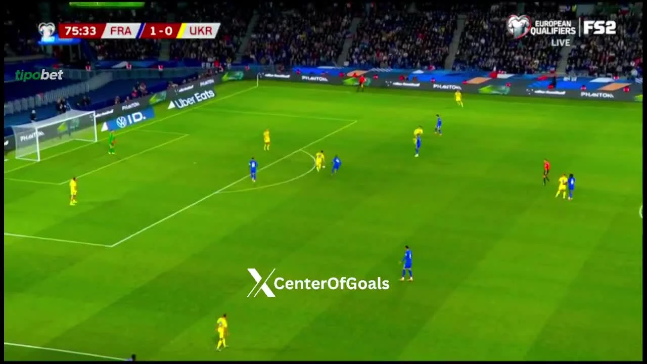 zaslepka skrotu video