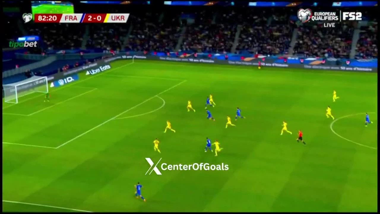 zaslepka skrotu video