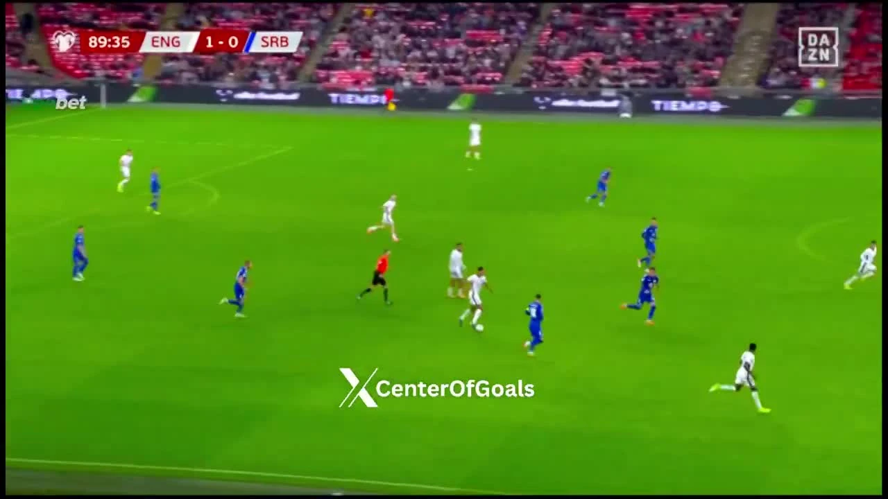 zaslepka skrotu video