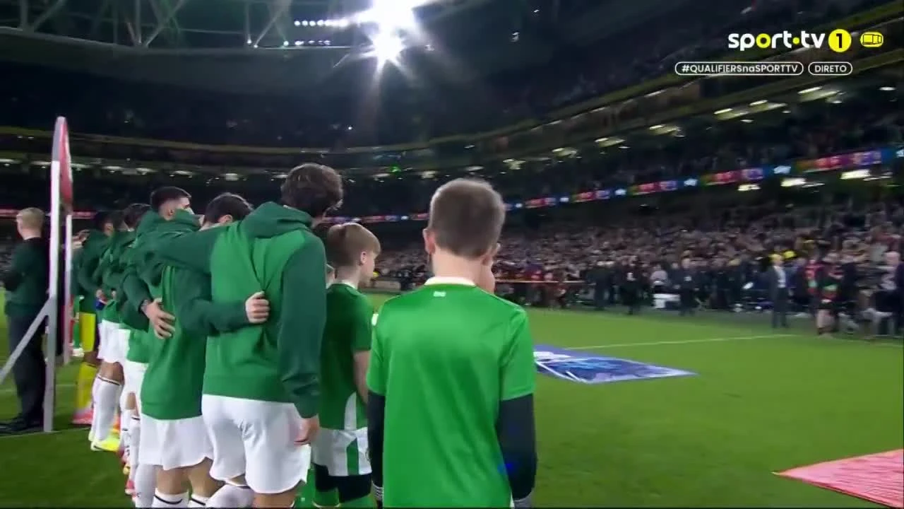 zaslepka skrotu video