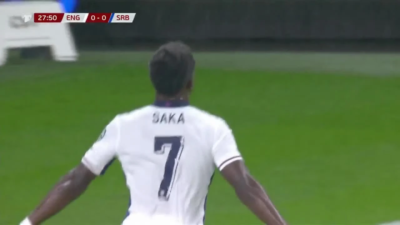 zaslepka skrotu video