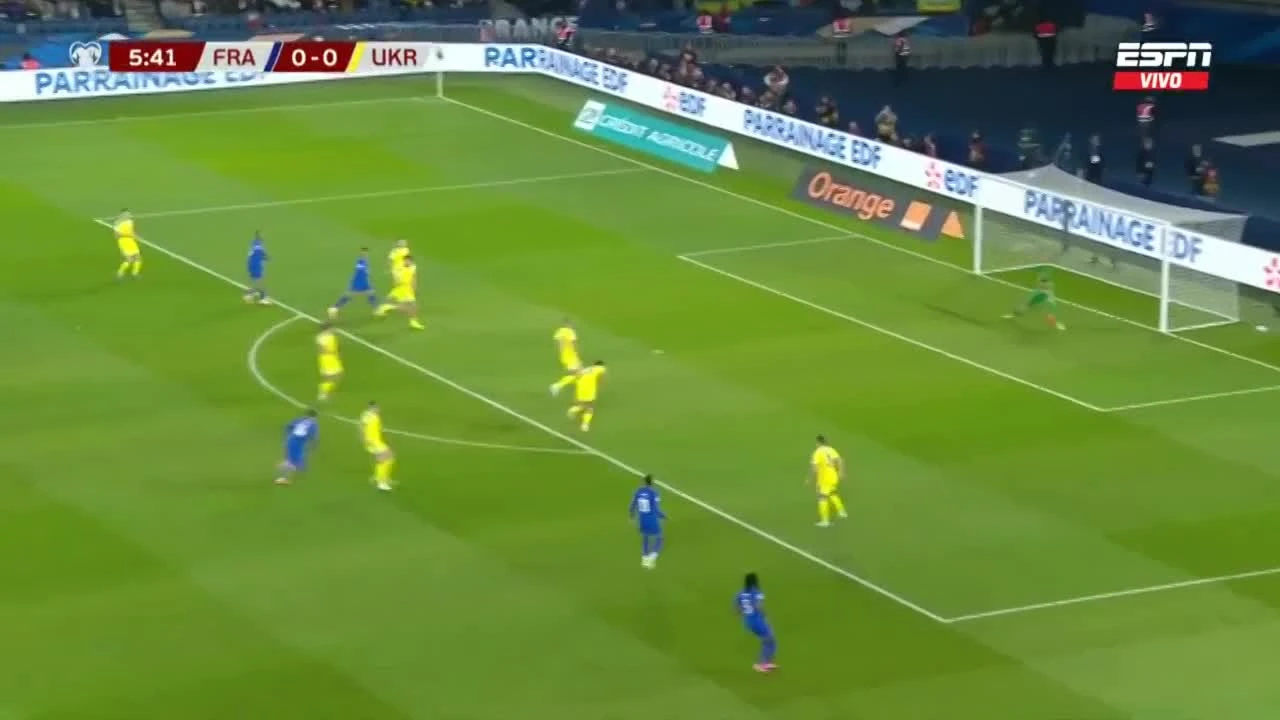 zaslepka skrotu video