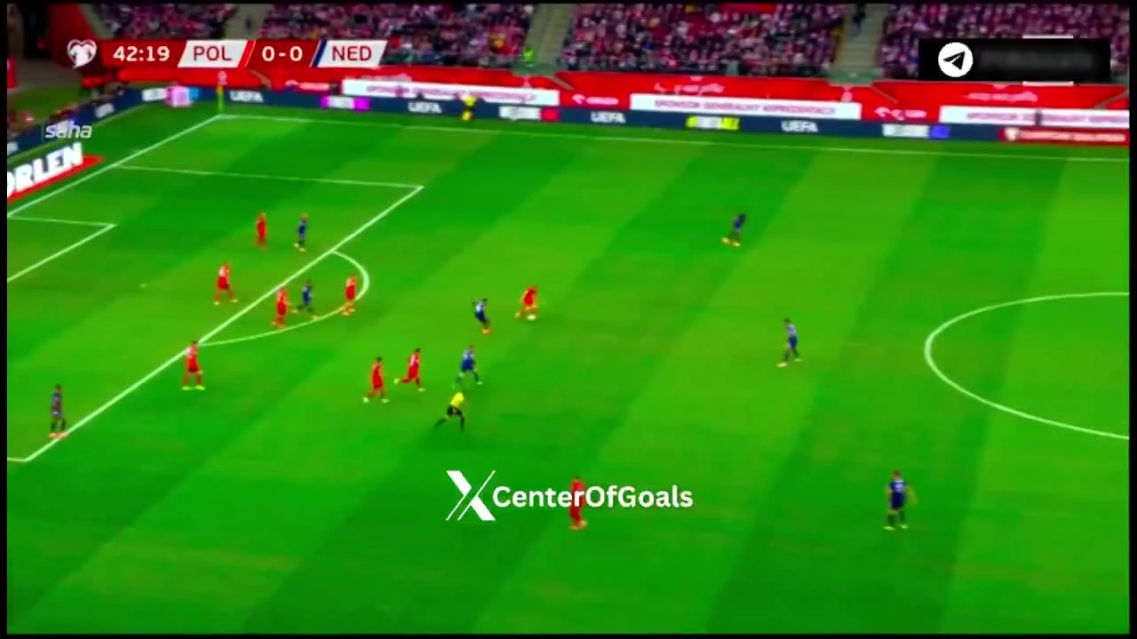 zaslepka skrotu video