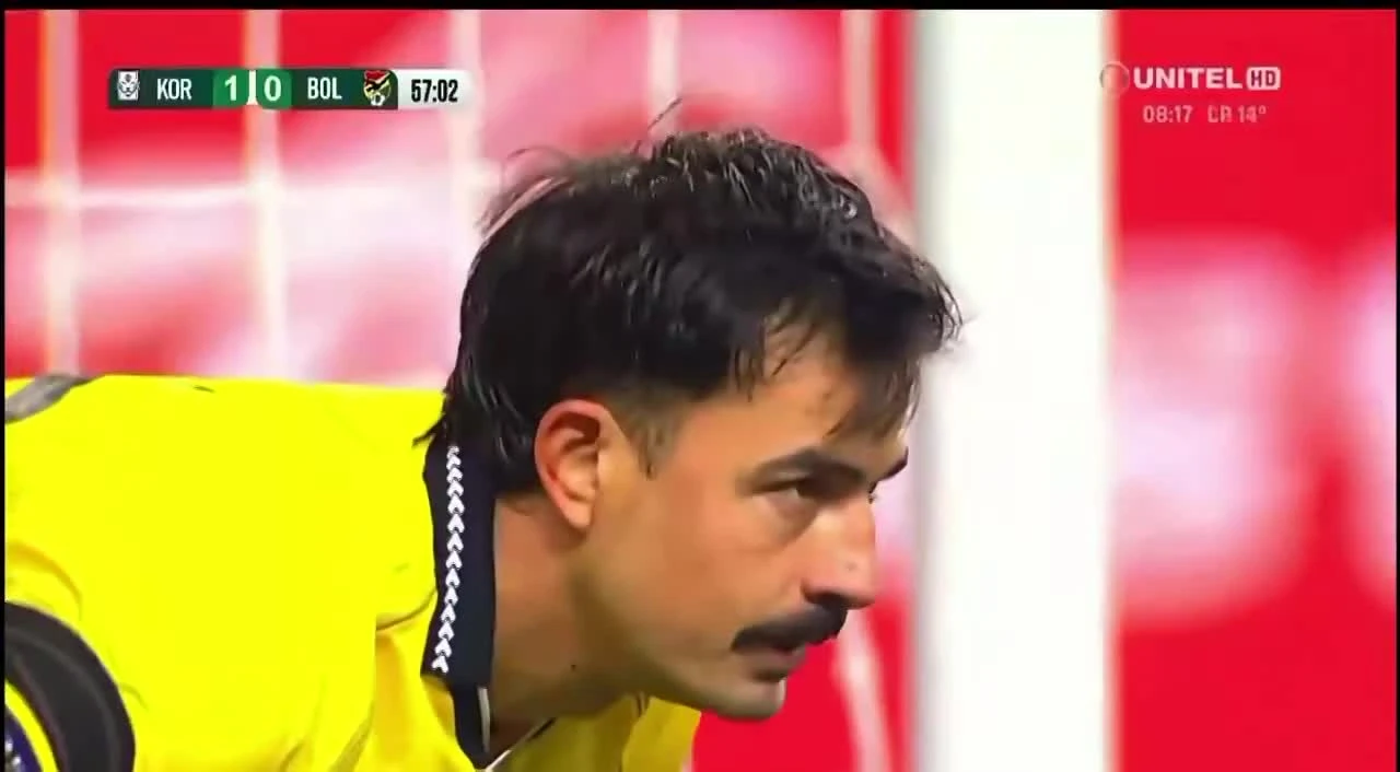 zaslepka skrotu video