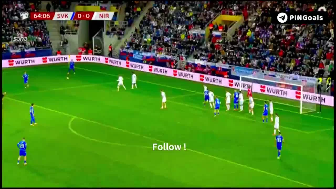 zaslepka skrotu video