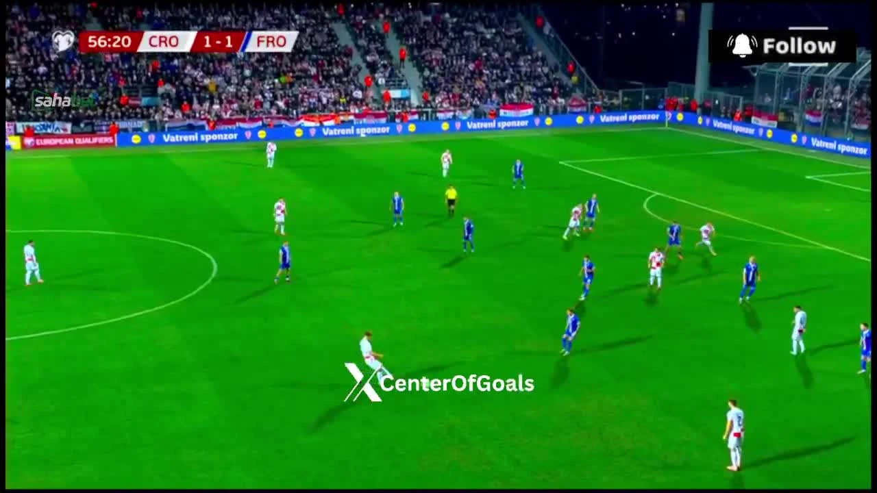 zaslepka skrotu video