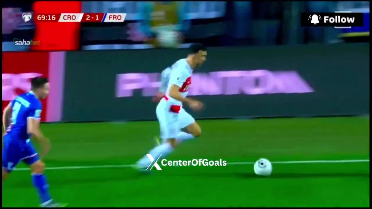 zaslepka skrotu video