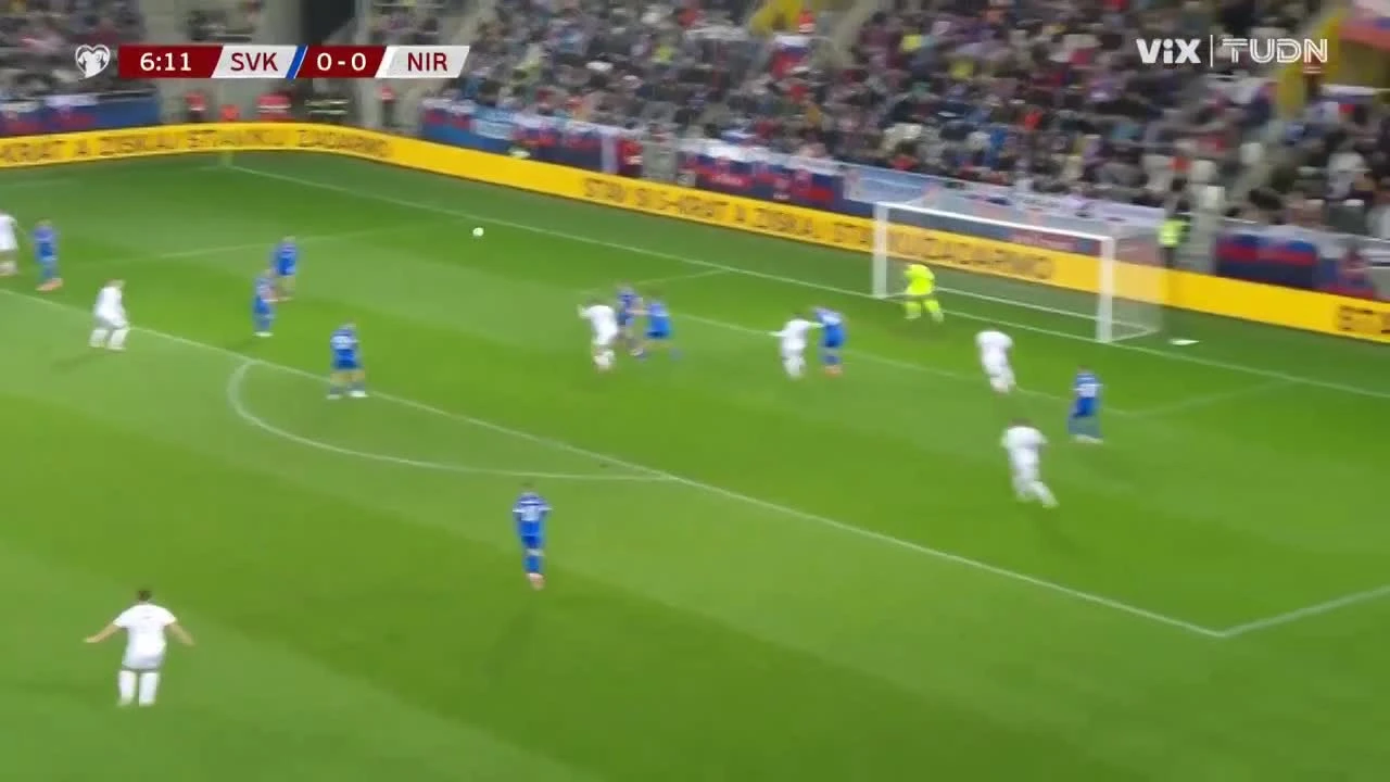 zaslepka skrotu video