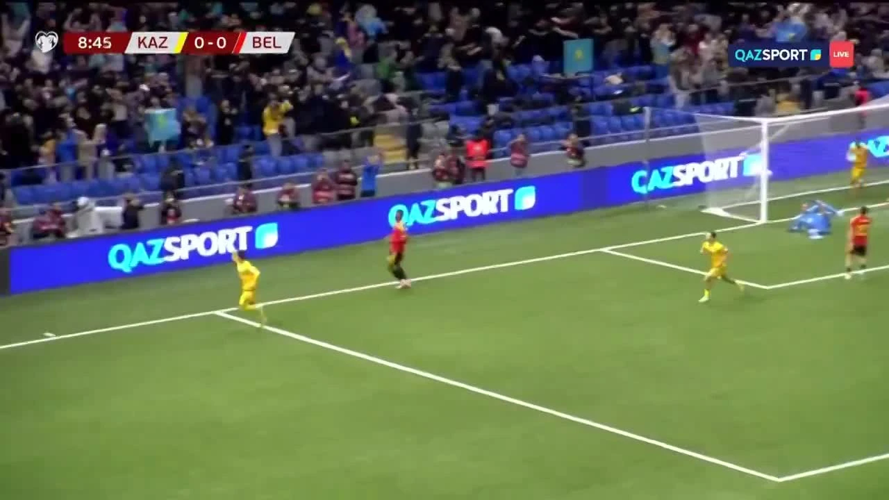 zaslepka skrotu video