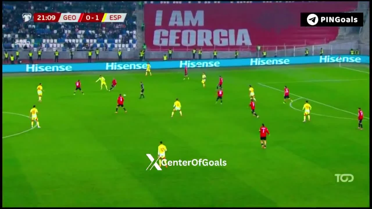 zaslepka skrotu video