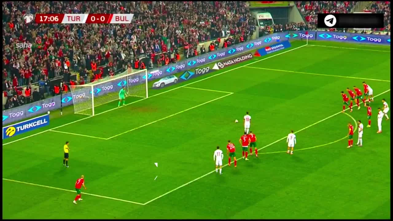 zaslepka skrotu video