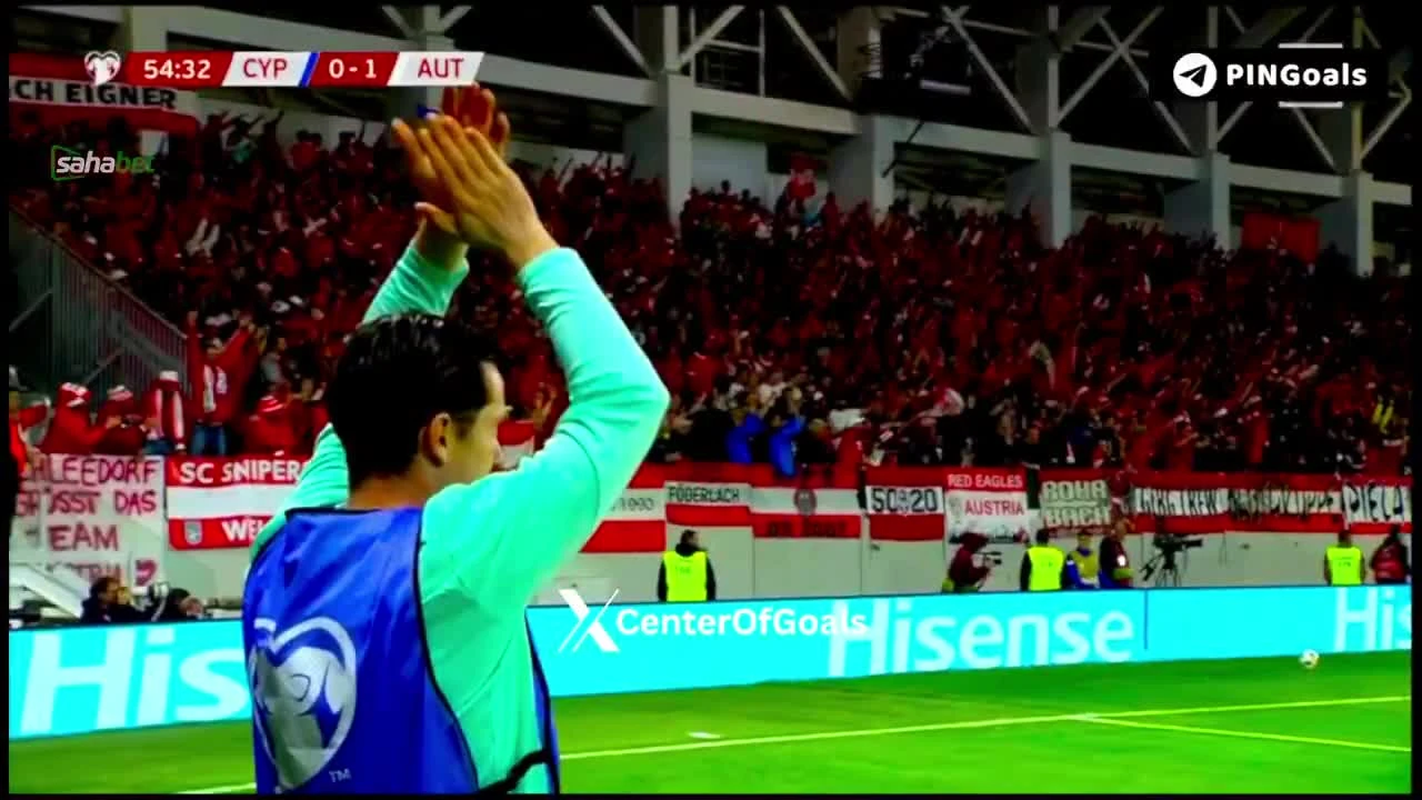 zaslepka skrotu video