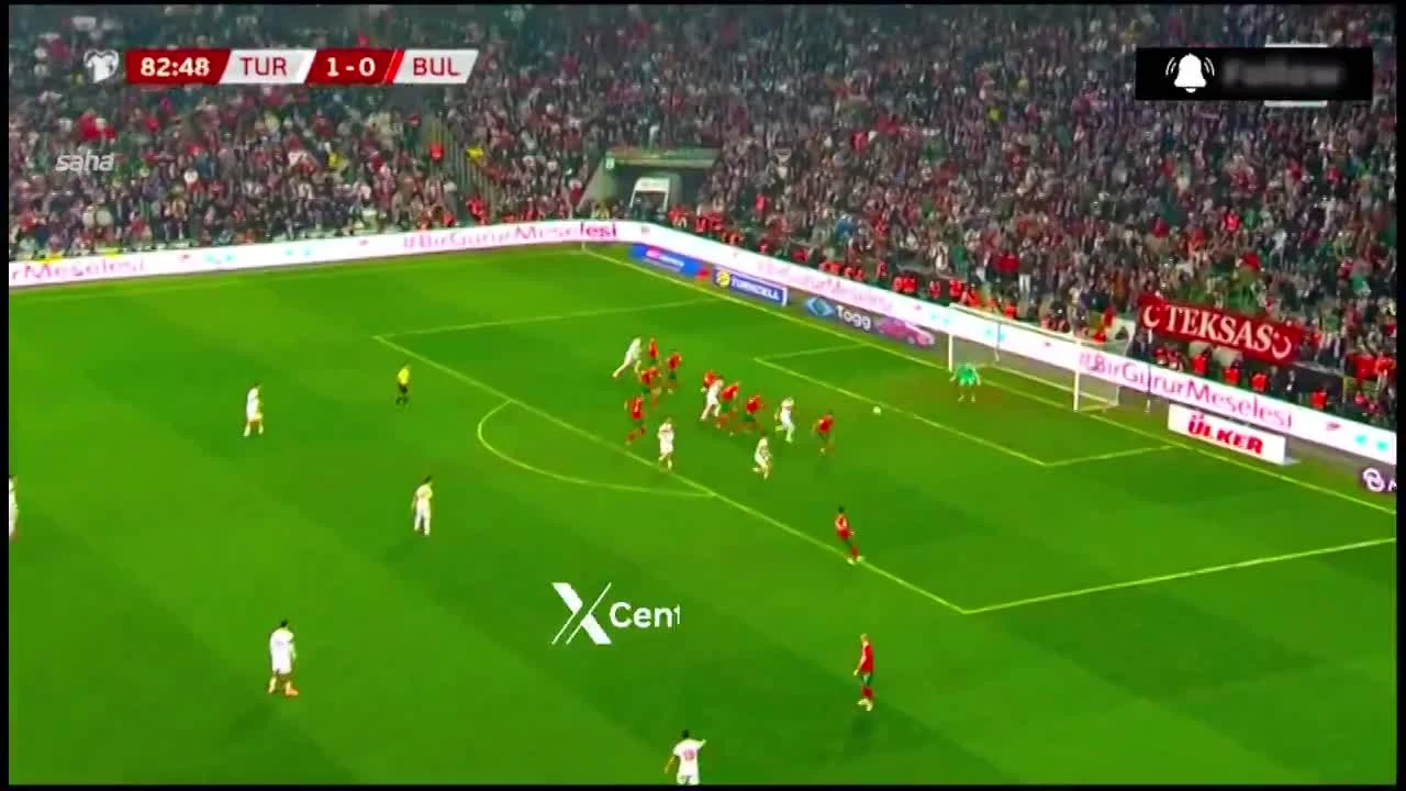 zaslepka skrotu video