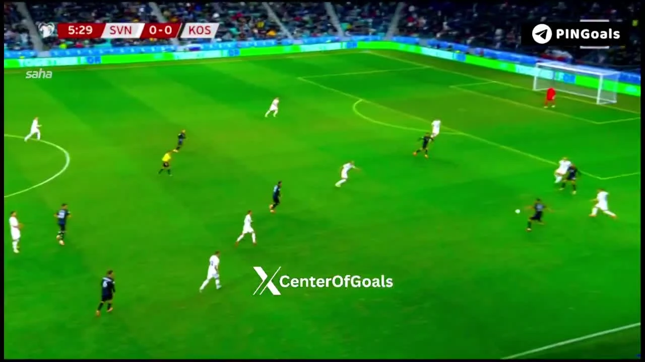 zaslepka skrotu video