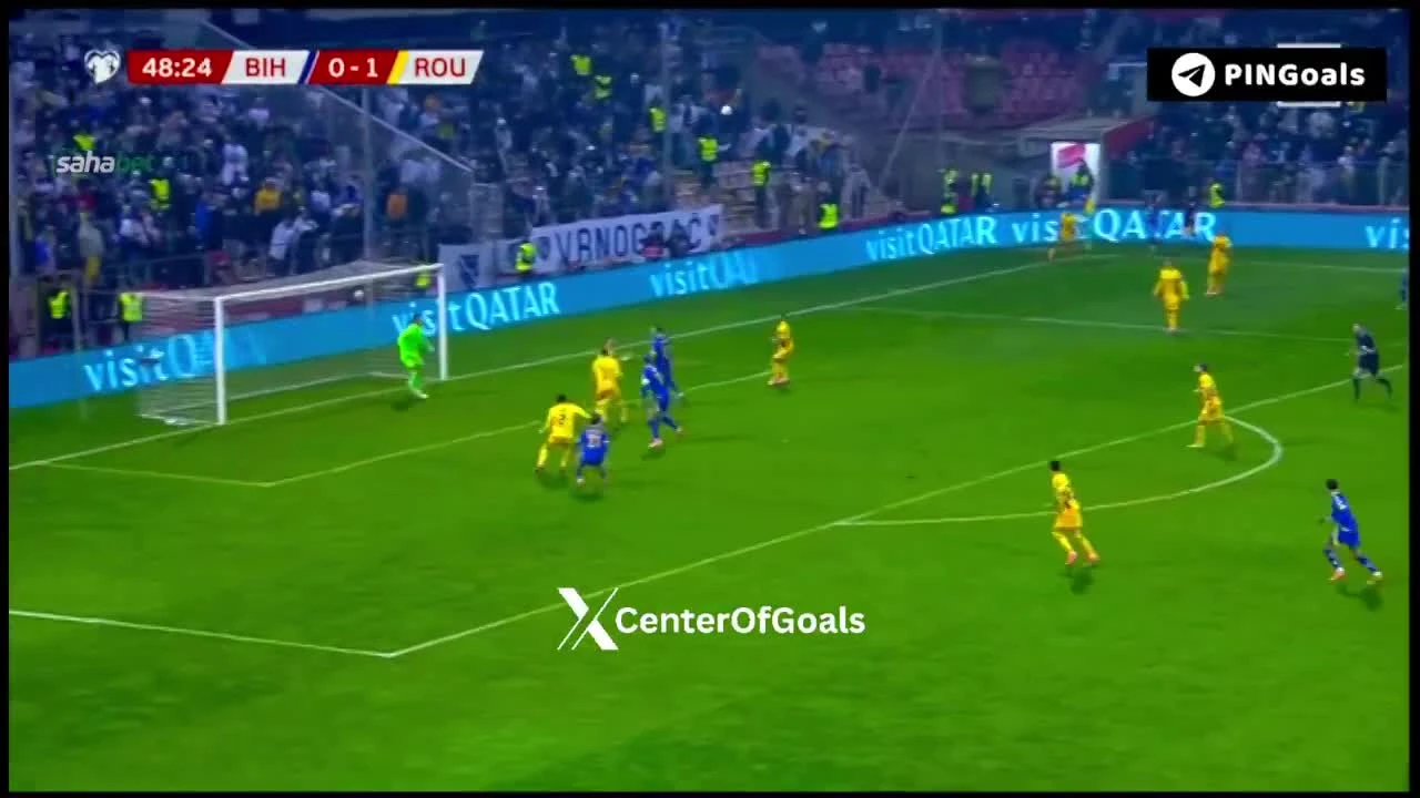 zaslepka skrotu video