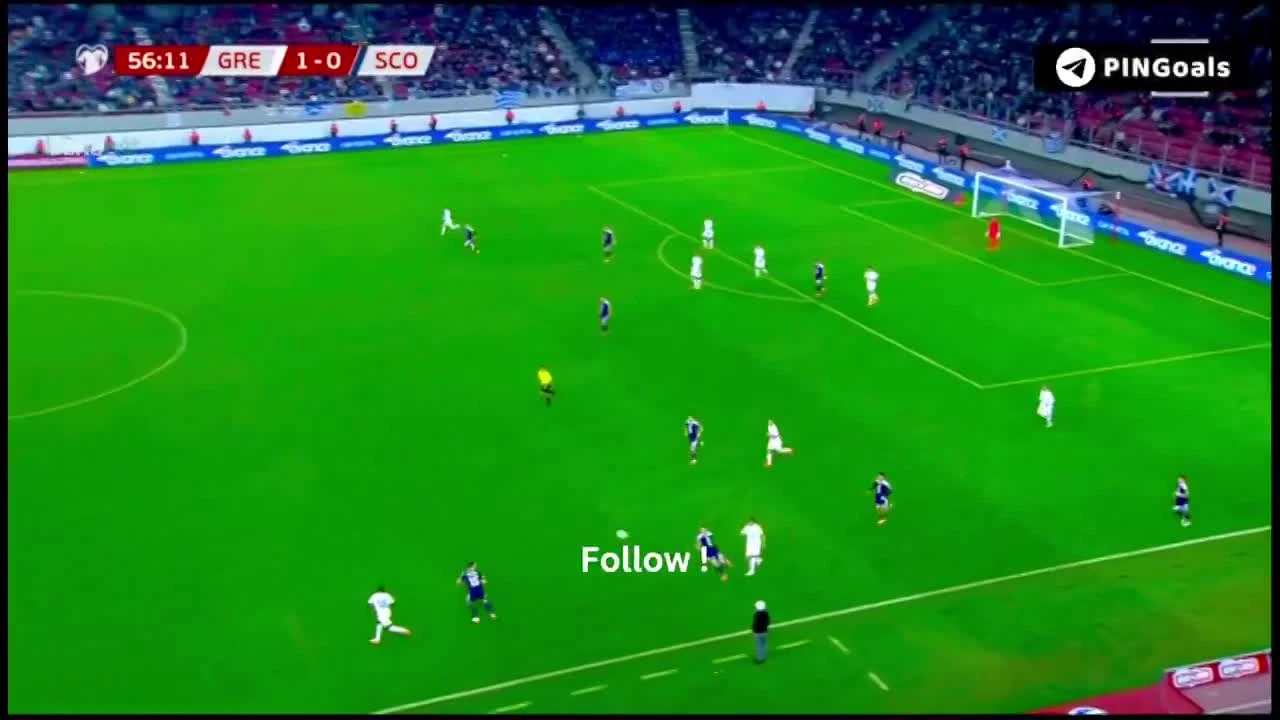 zaslepka skrotu video