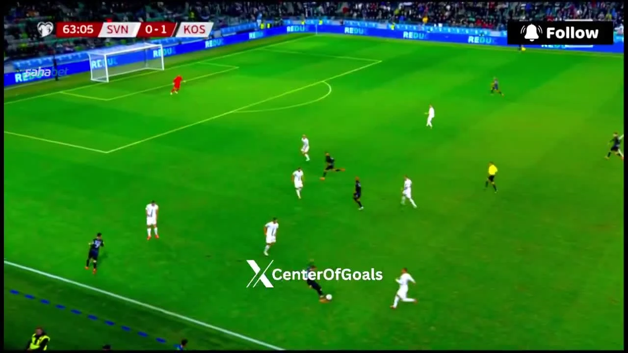 zaslepka skrotu video