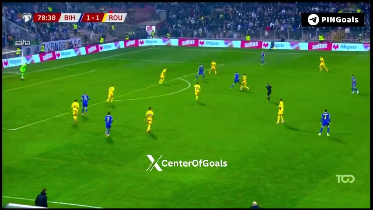 zaslepka skrotu video