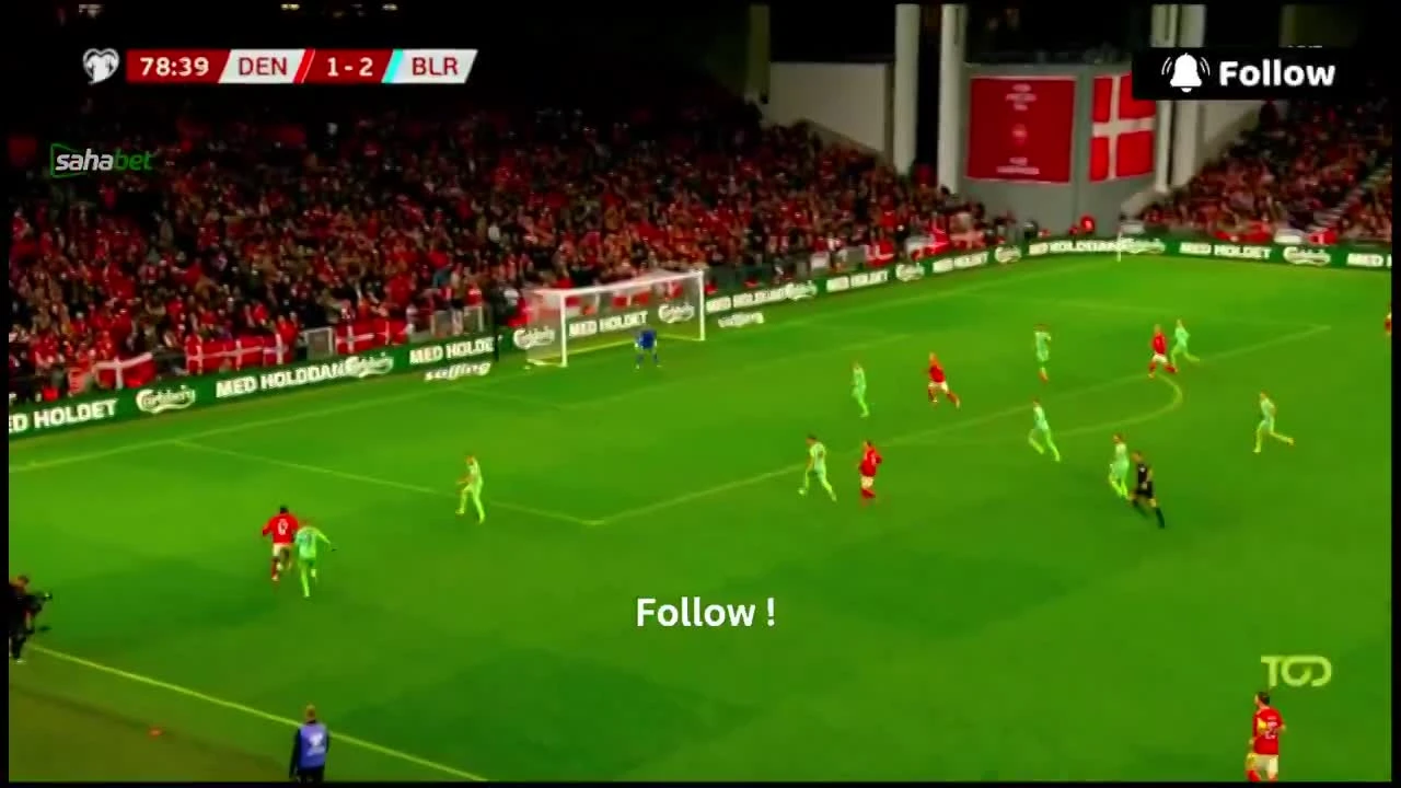 zaslepka skrotu video