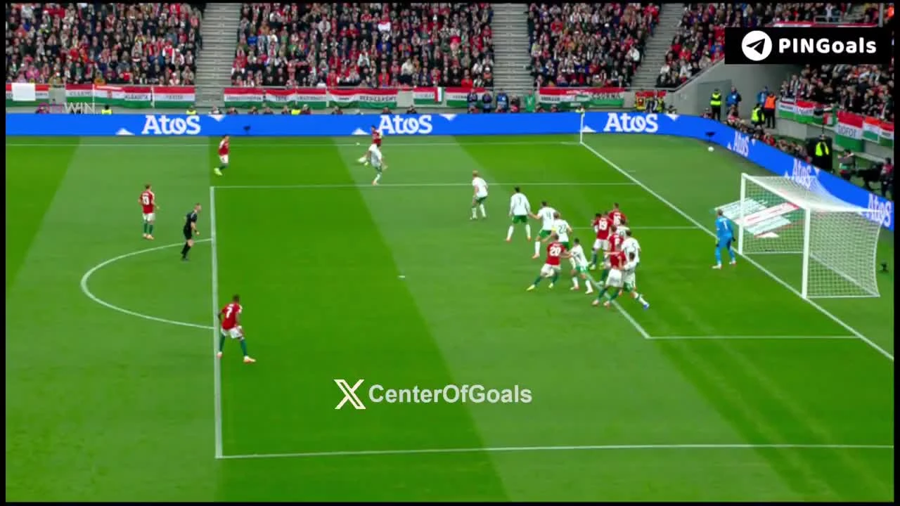 zaslepka skrotu video