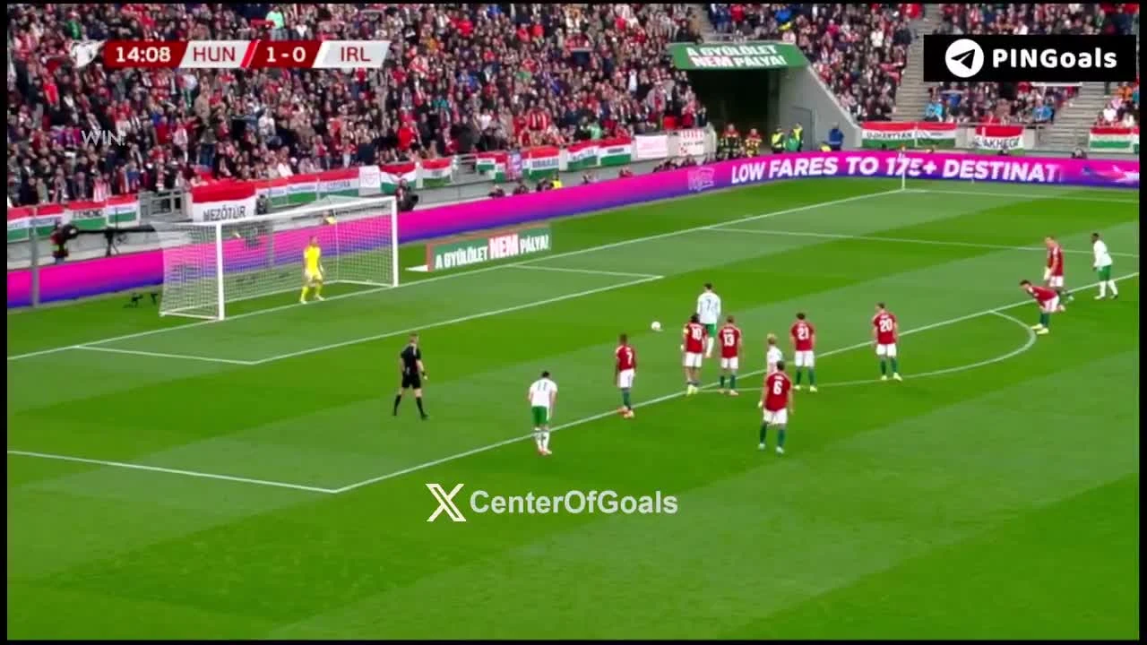 zaslepka skrotu video