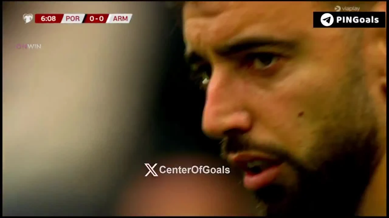 zaslepka skrotu video