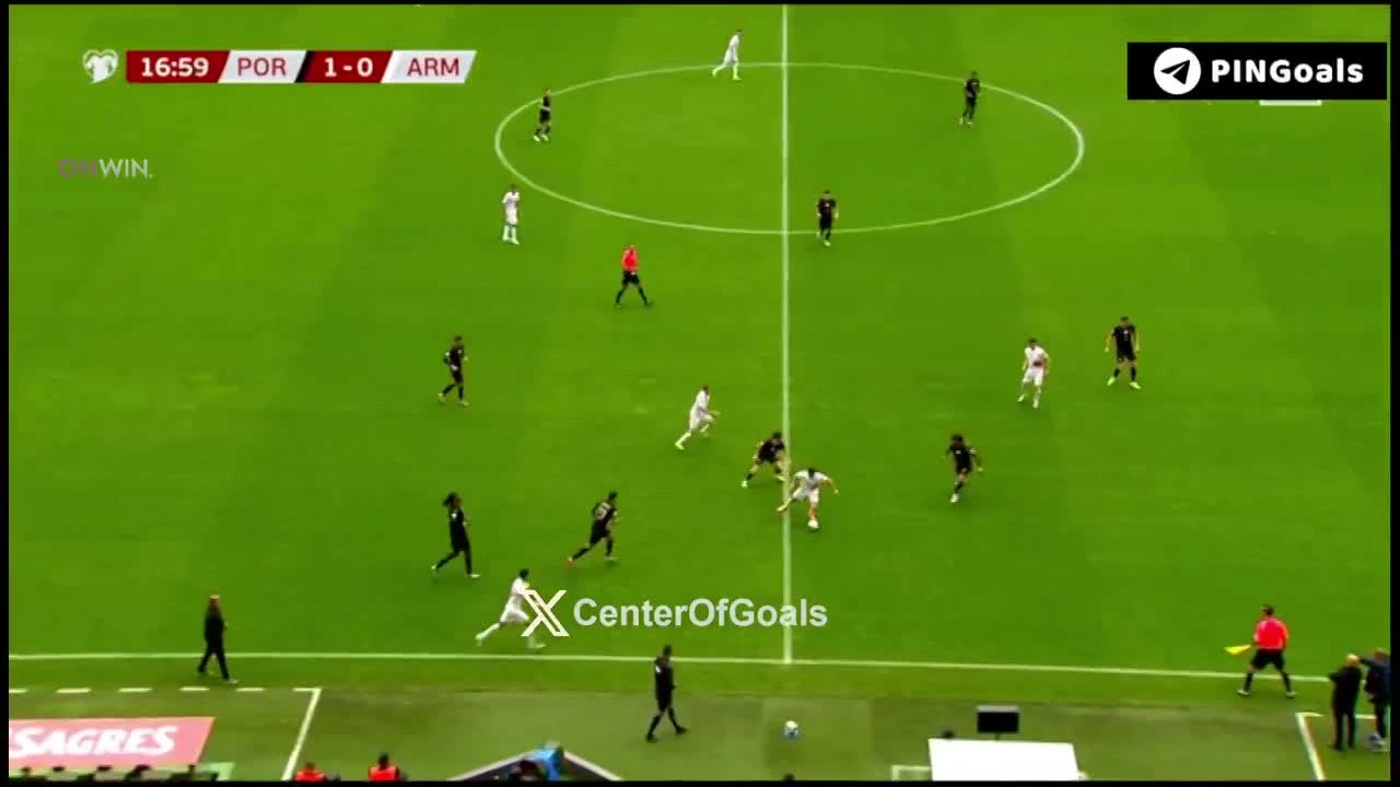 zaslepka skrotu video