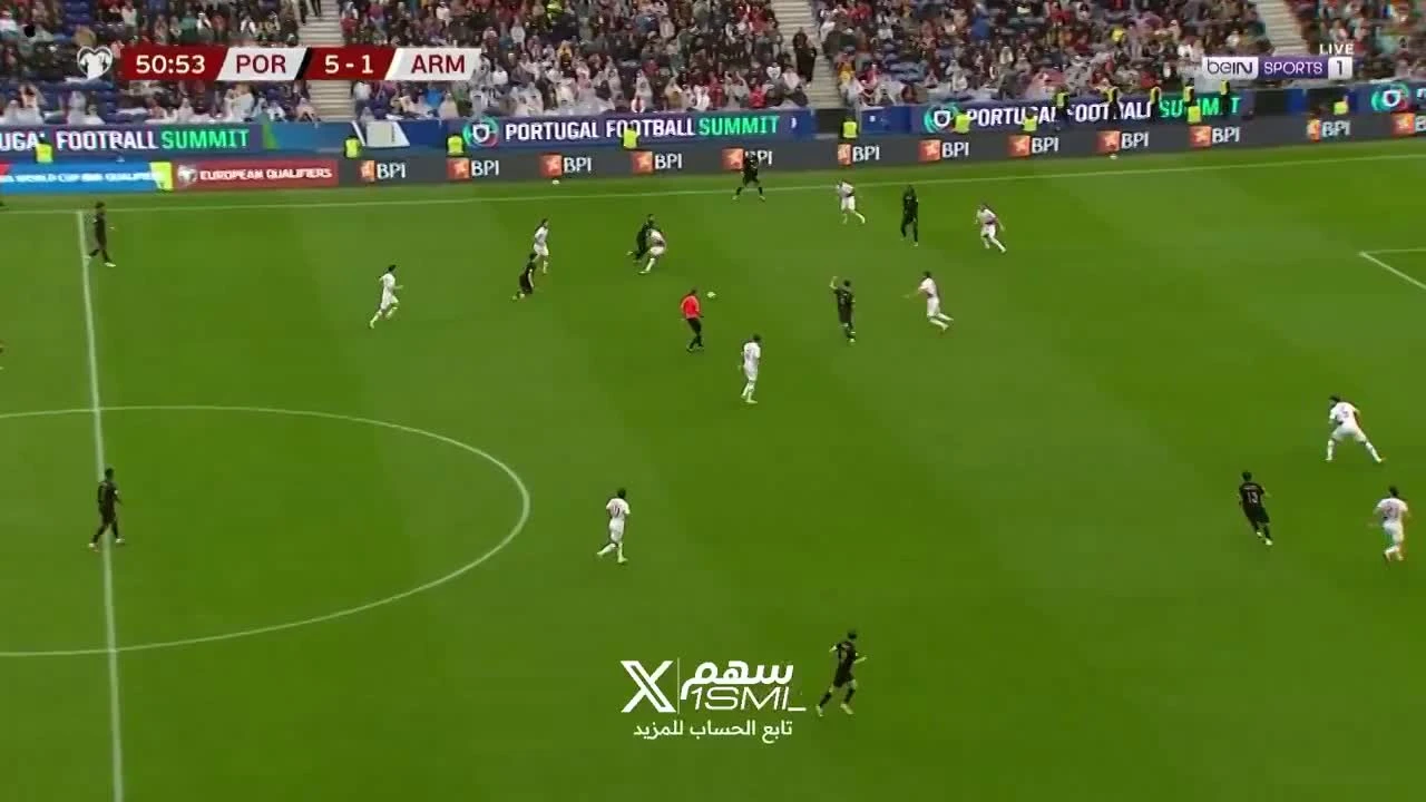 zaslepka skrotu video