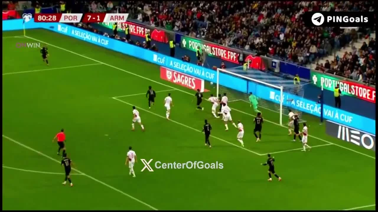 zaslepka skrotu video