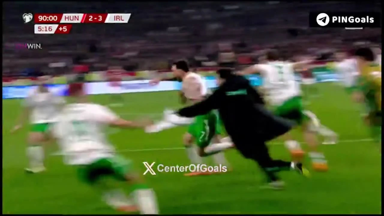 zaslepka skrotu video