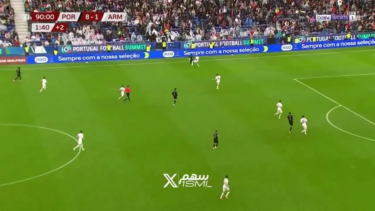 zaslepka skrotu video