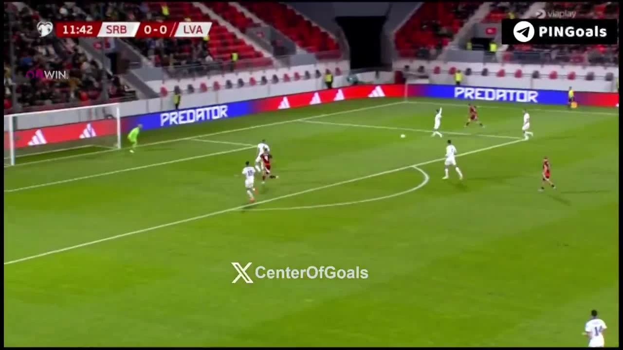 zaslepka skrotu video