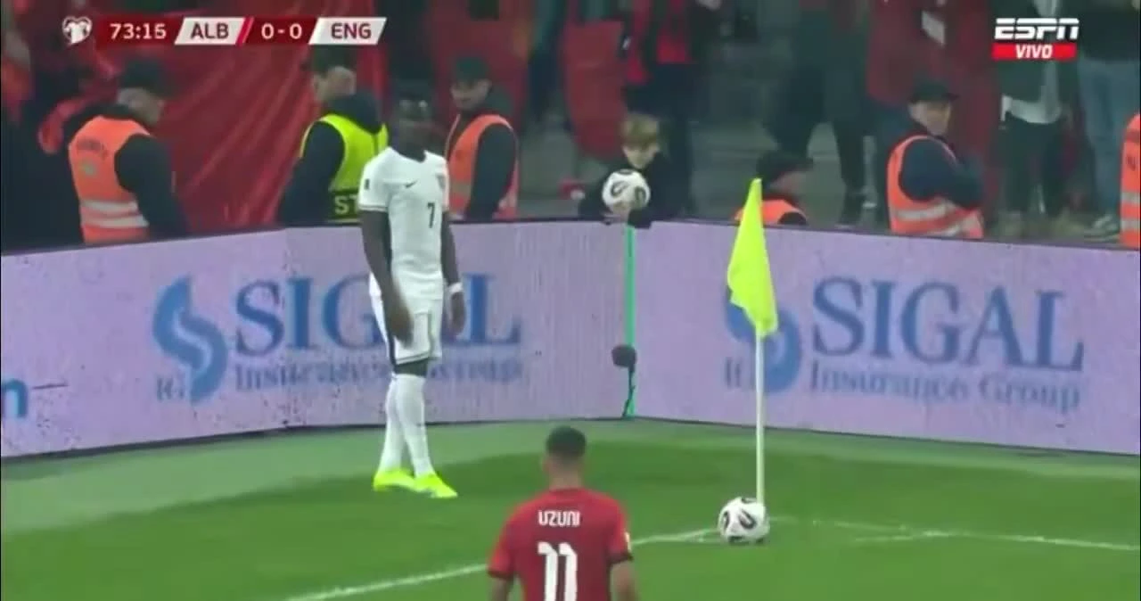 zaslepka skrotu video