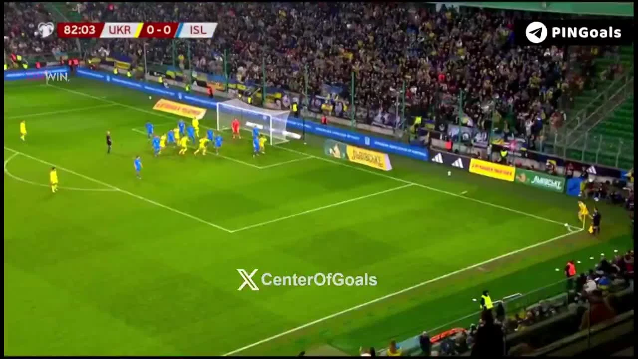 zaslepka skrotu video